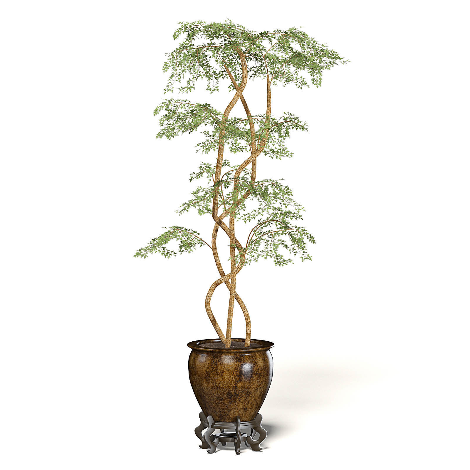 Tree in Metal Pot 3D Model 3D model_3