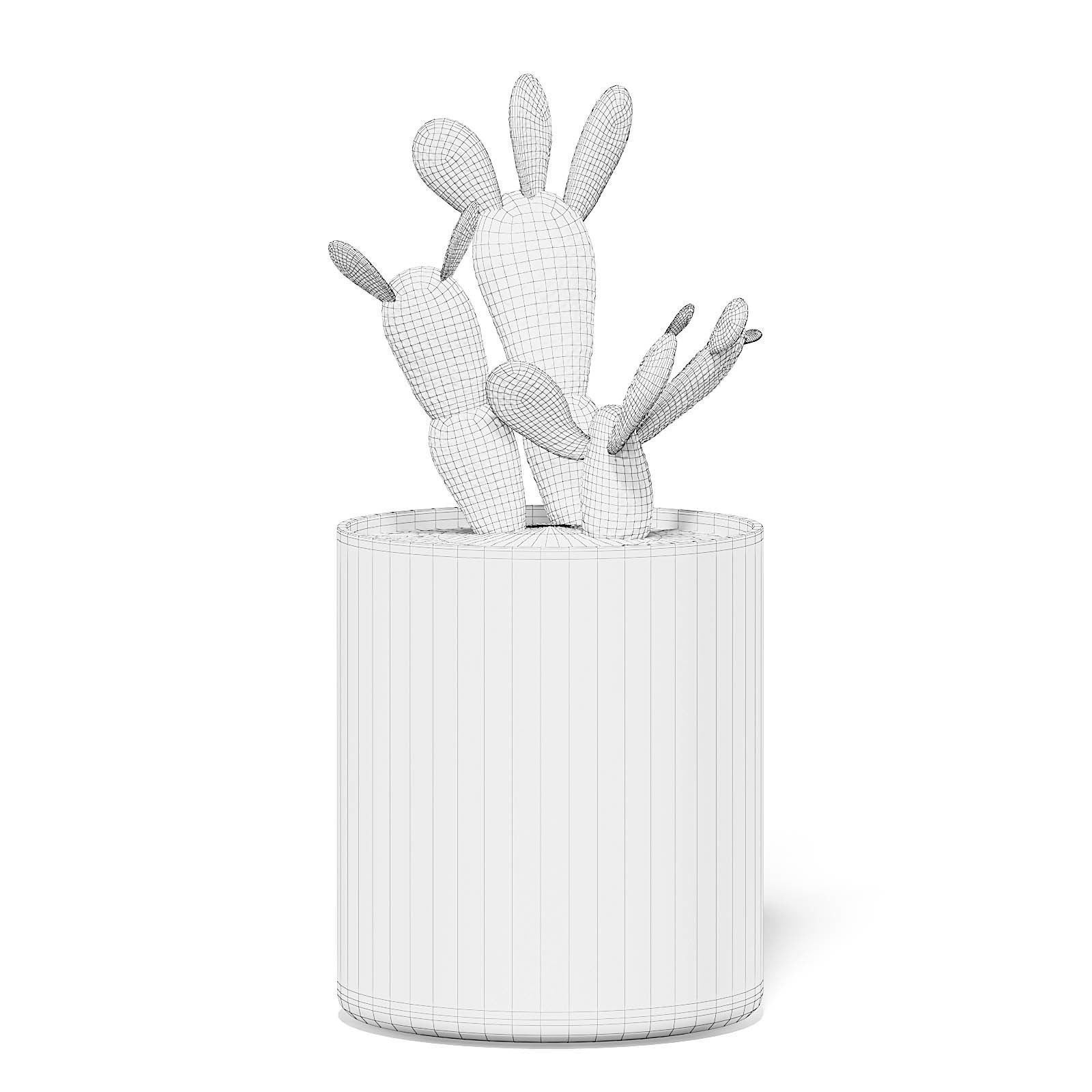 Cactus 3D Model in Metal Pot 3D model_1