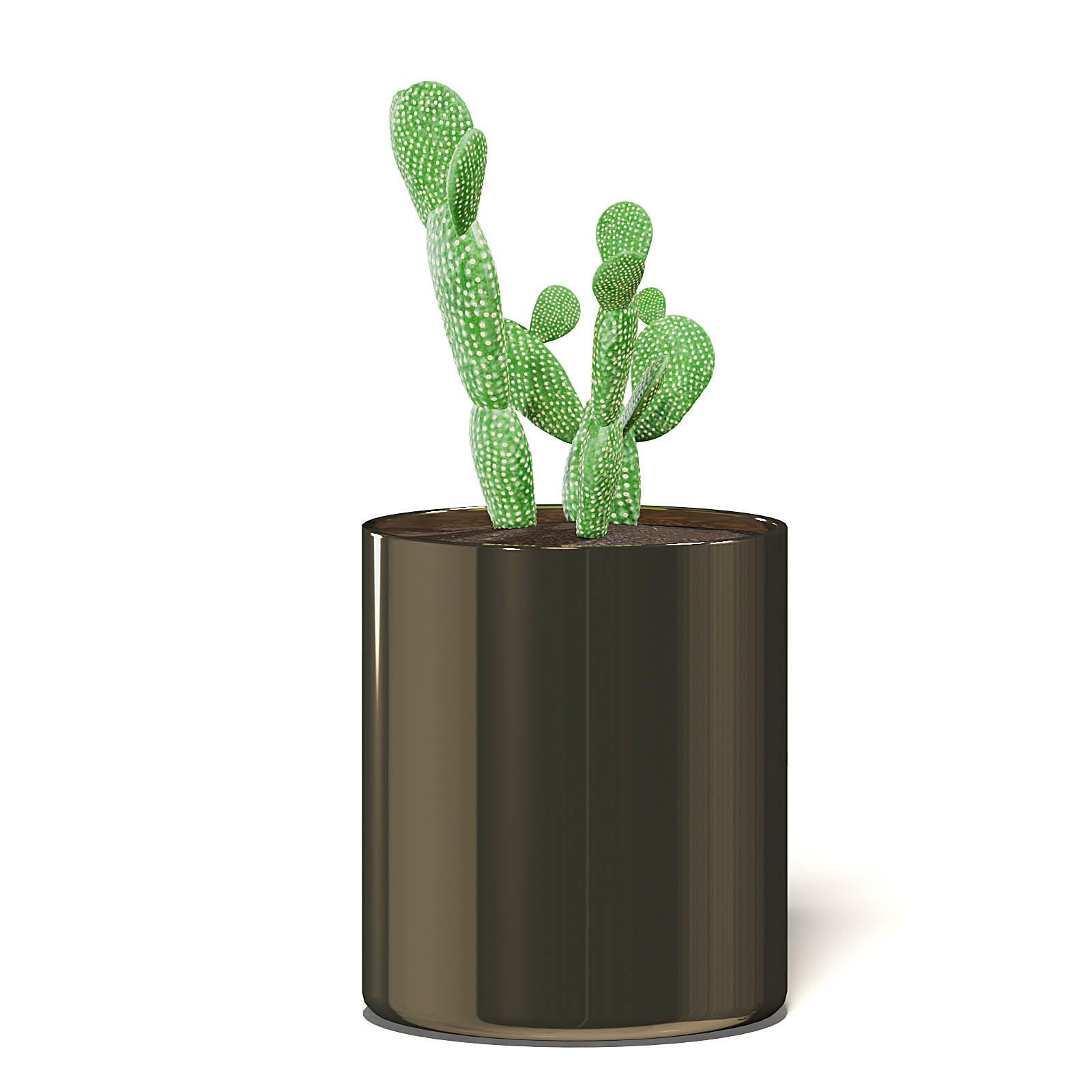 Cactus 3D Model in Metal Pot 3D model_7