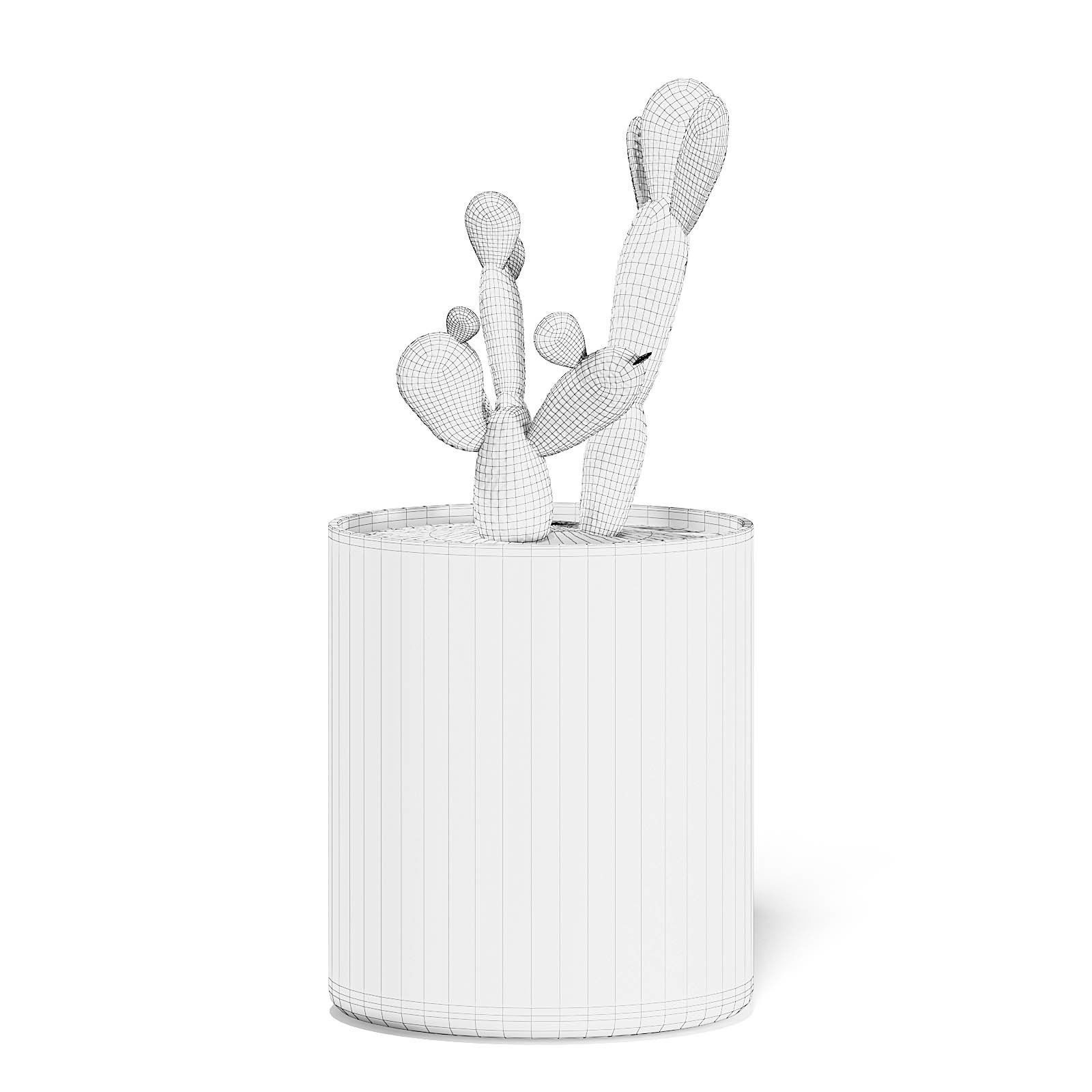 Cactus 3D Model in Metal Pot 3D model_2