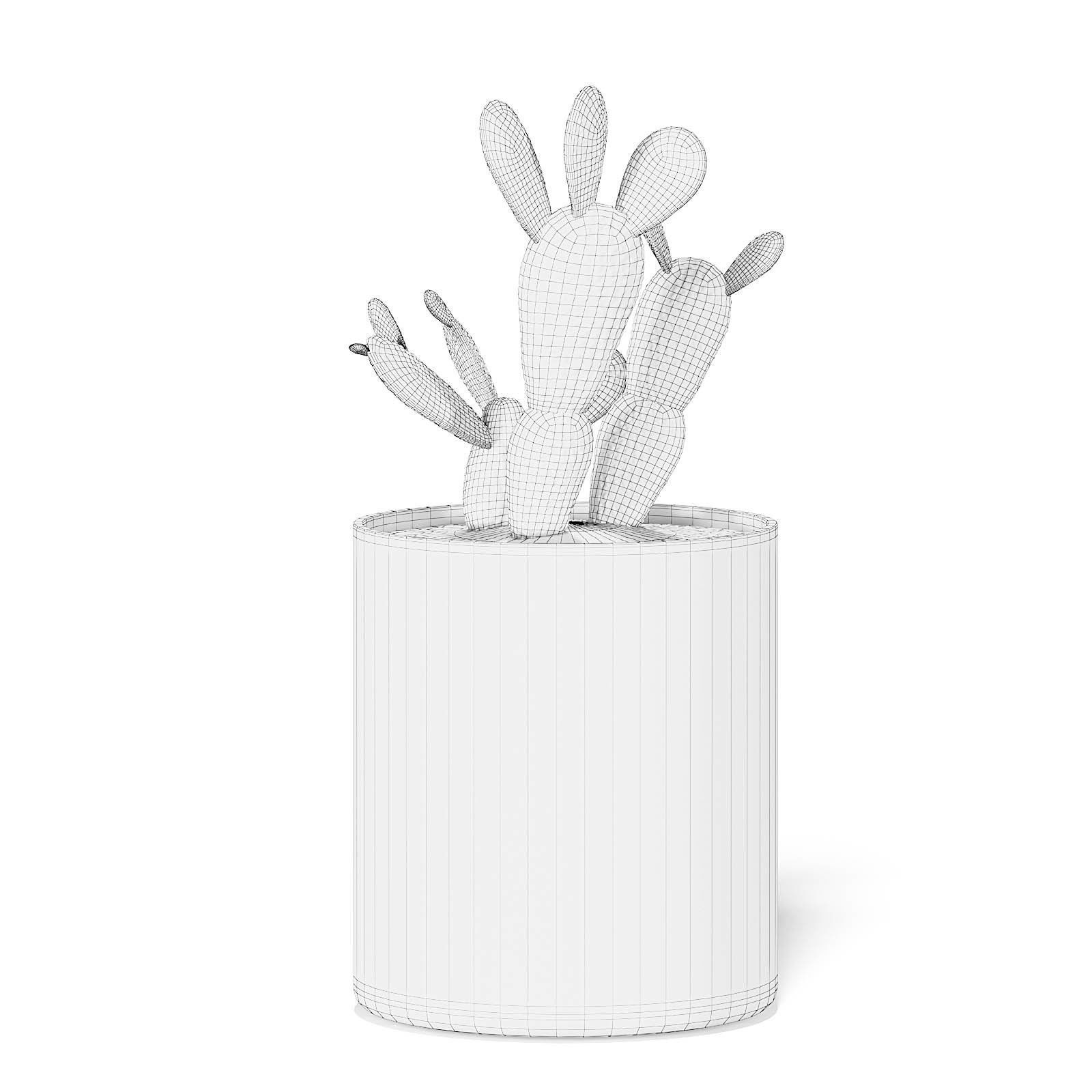 Cactus 3D Model in Metal Pot 3D model_4