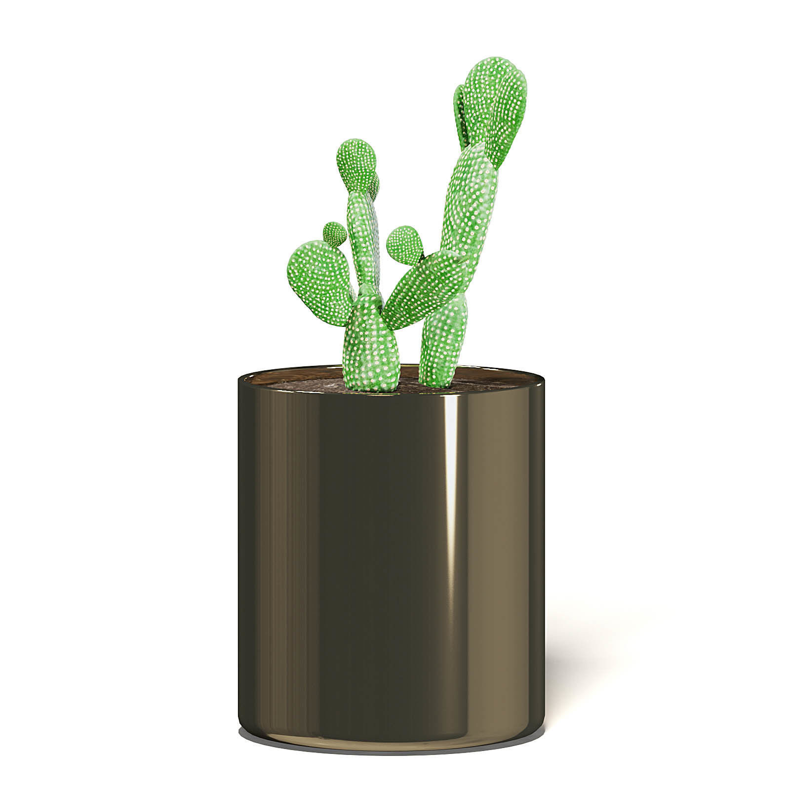 Cactus 3D Model in Metal Pot 3D model_3