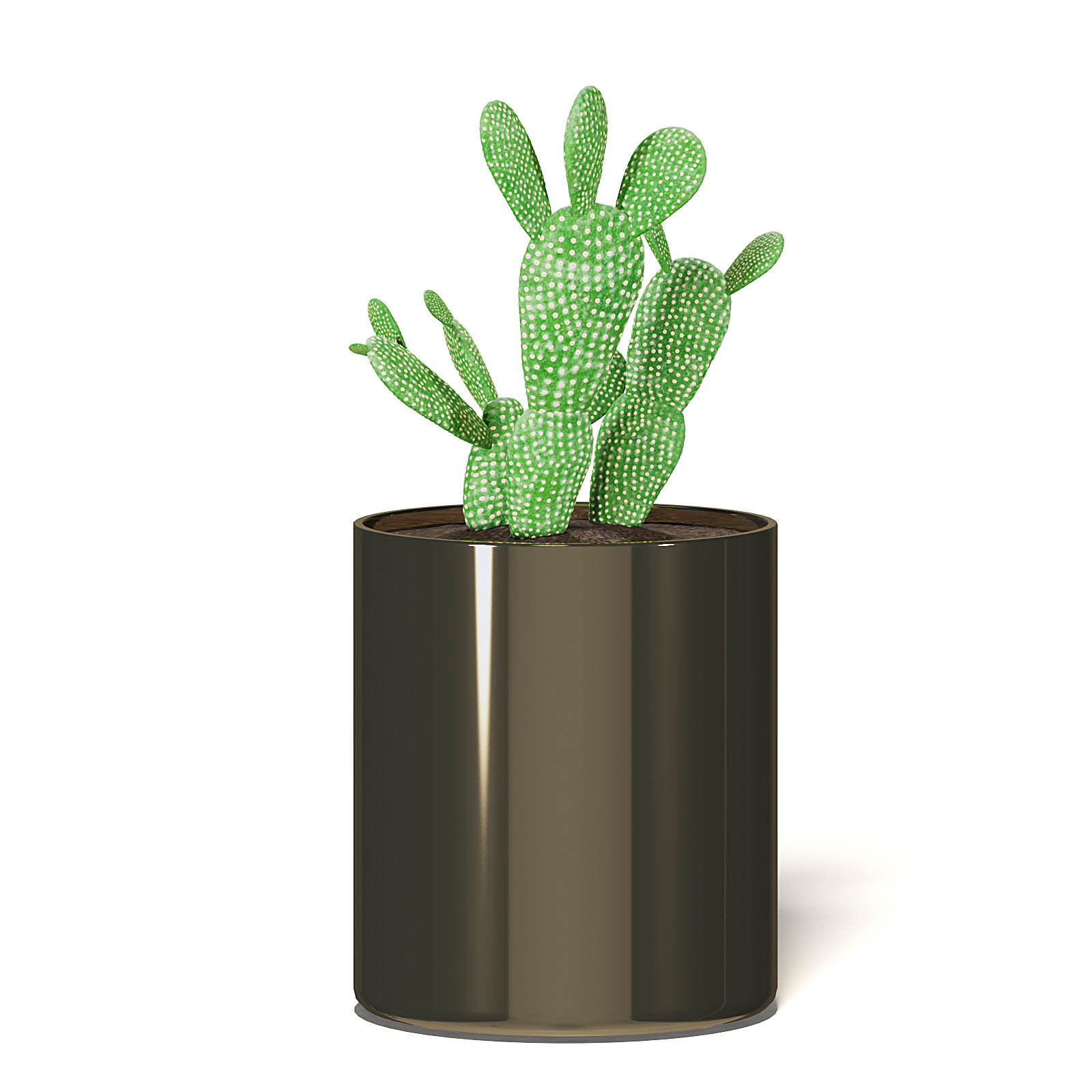 Cactus 3D Model in Metal Pot 3D model_5