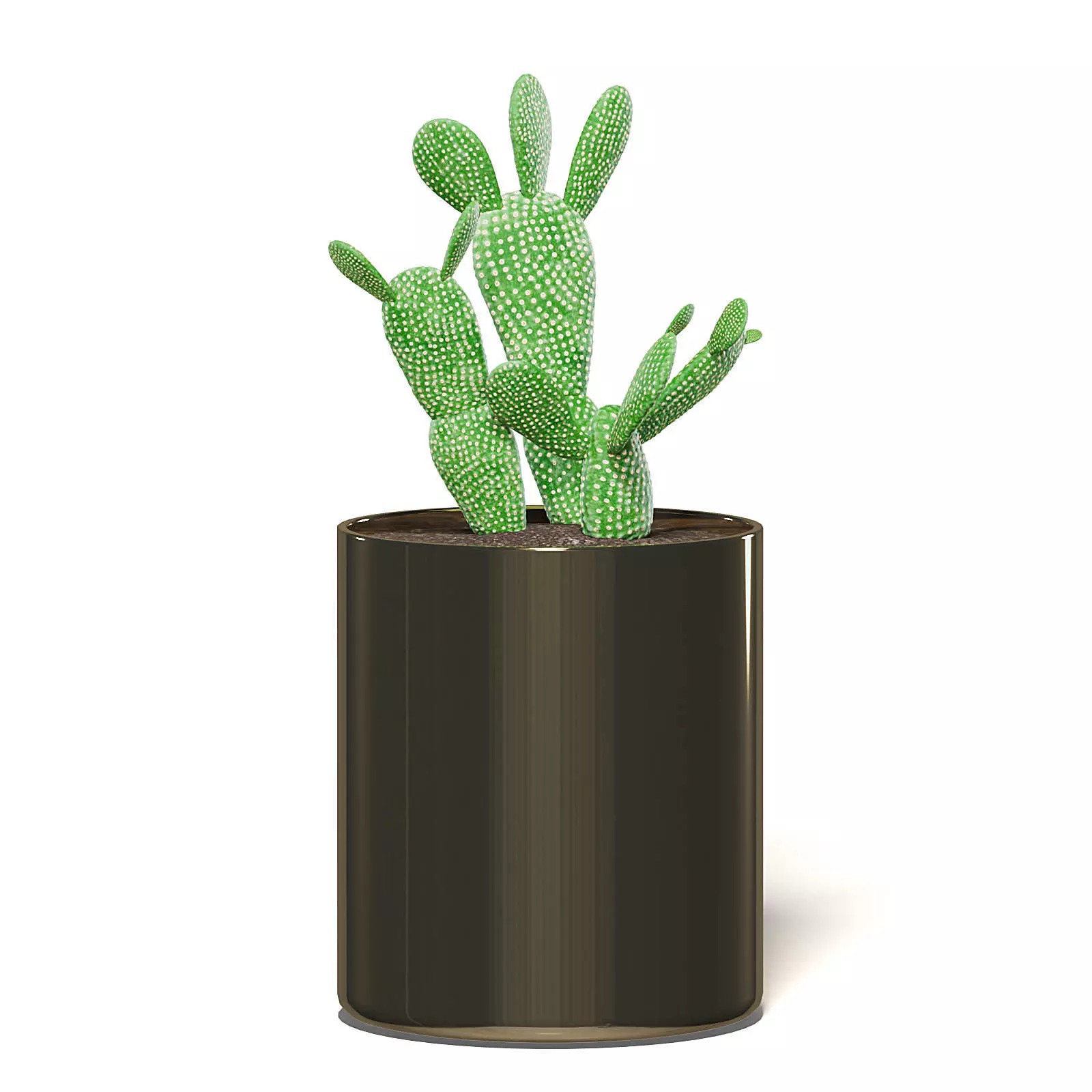 Cactus 3D Model in Metal Pot 3D model_0