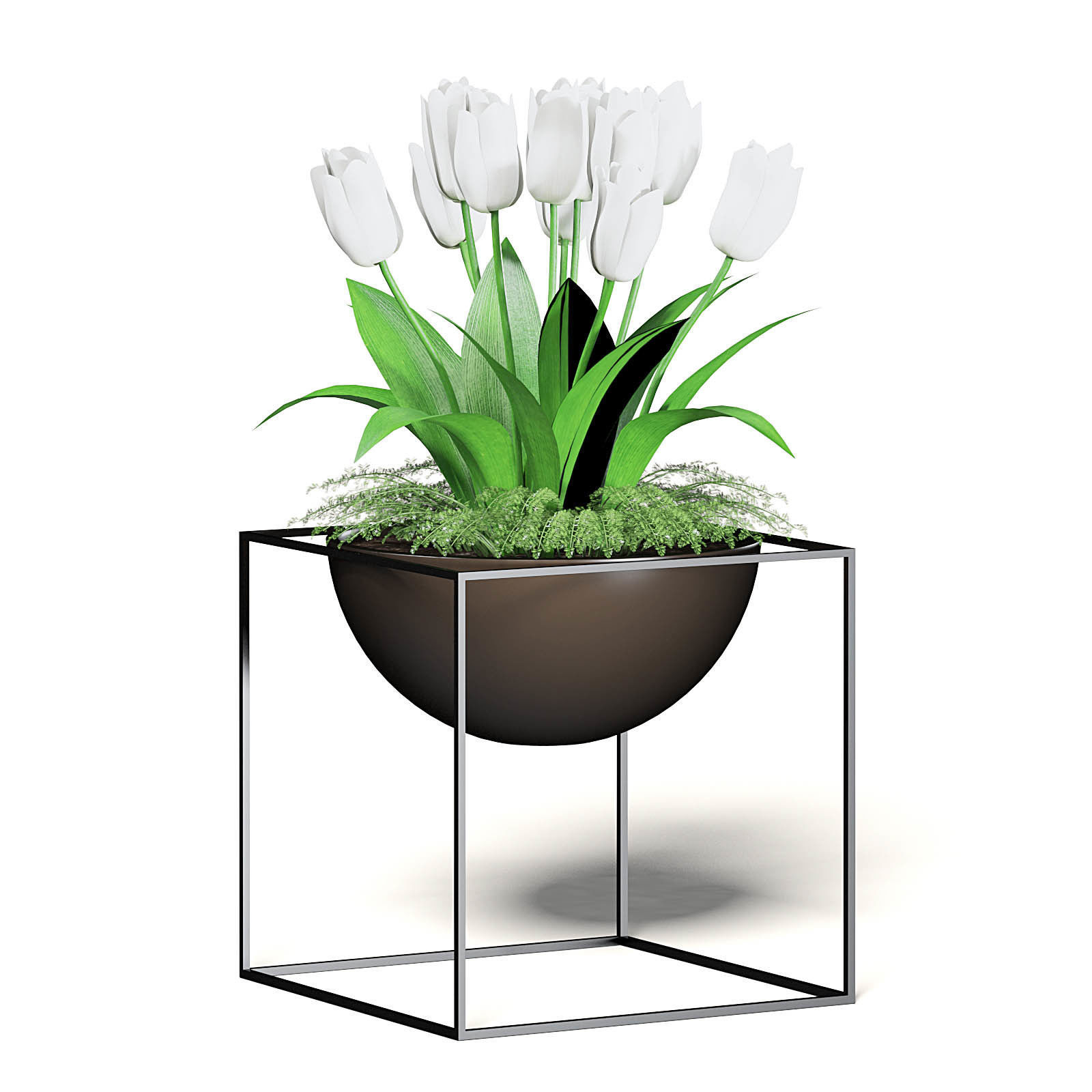 White Tulips 3D Model 3D model_3