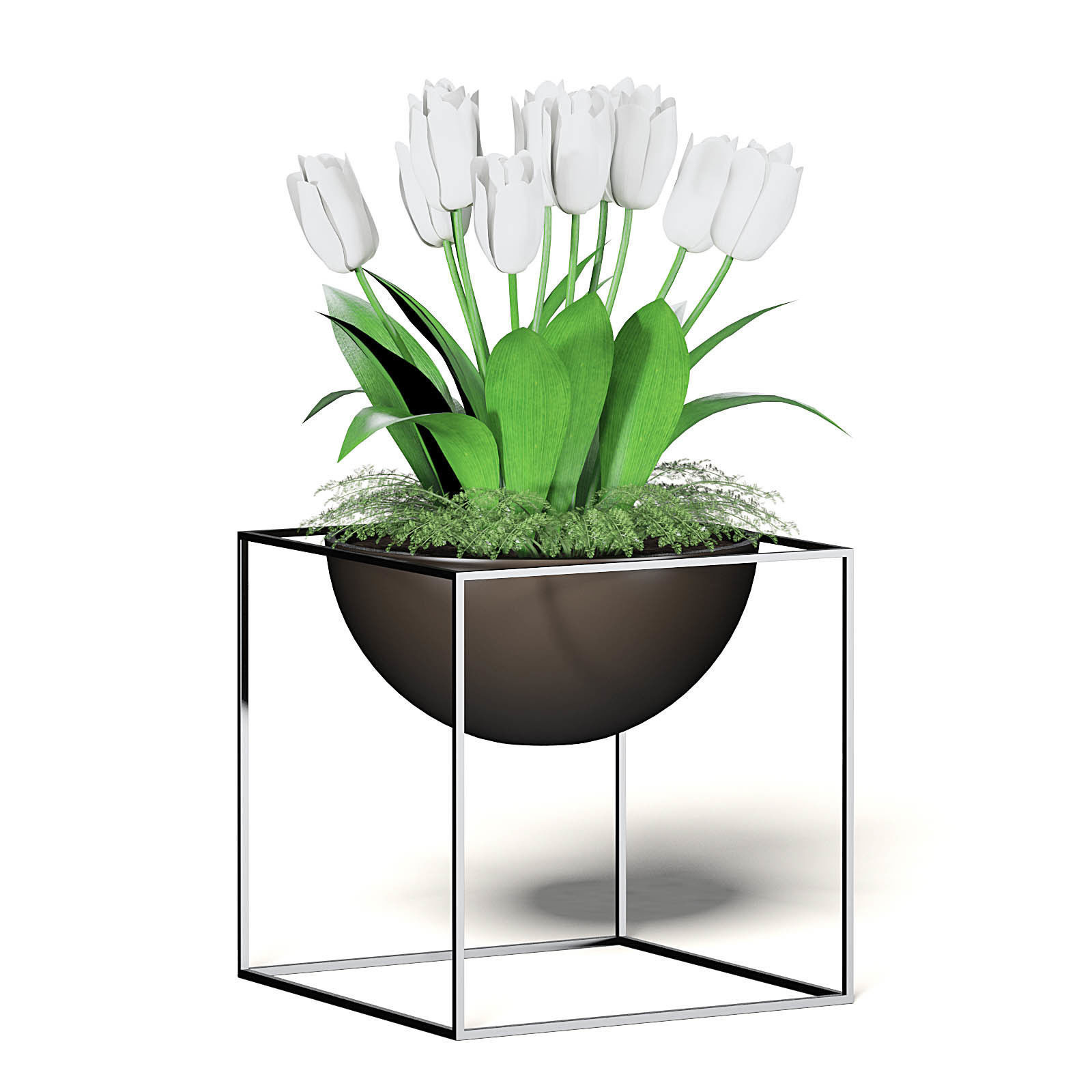 White Tulips 3D Model 3D model_5