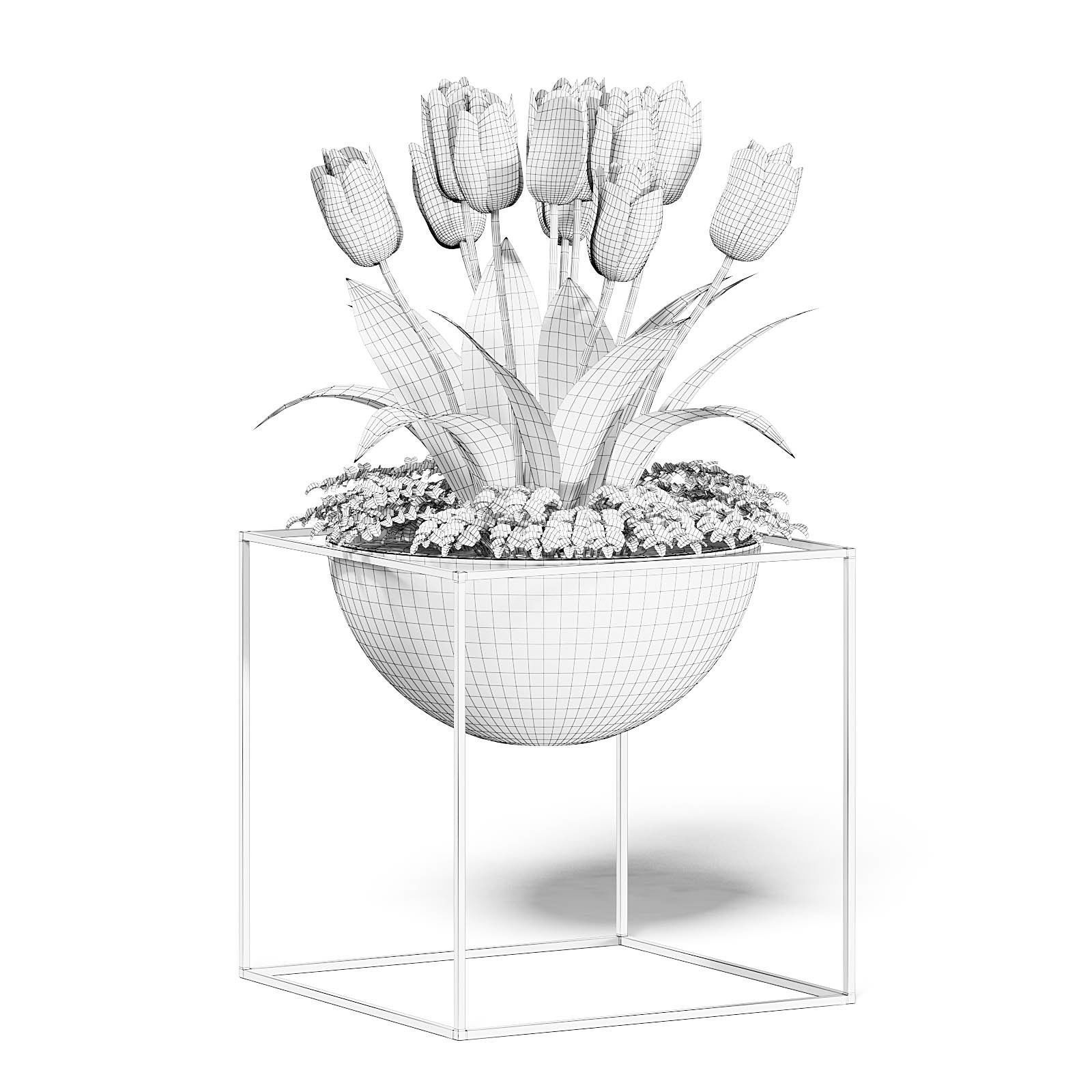 White Tulips 3D Model 3D model_2