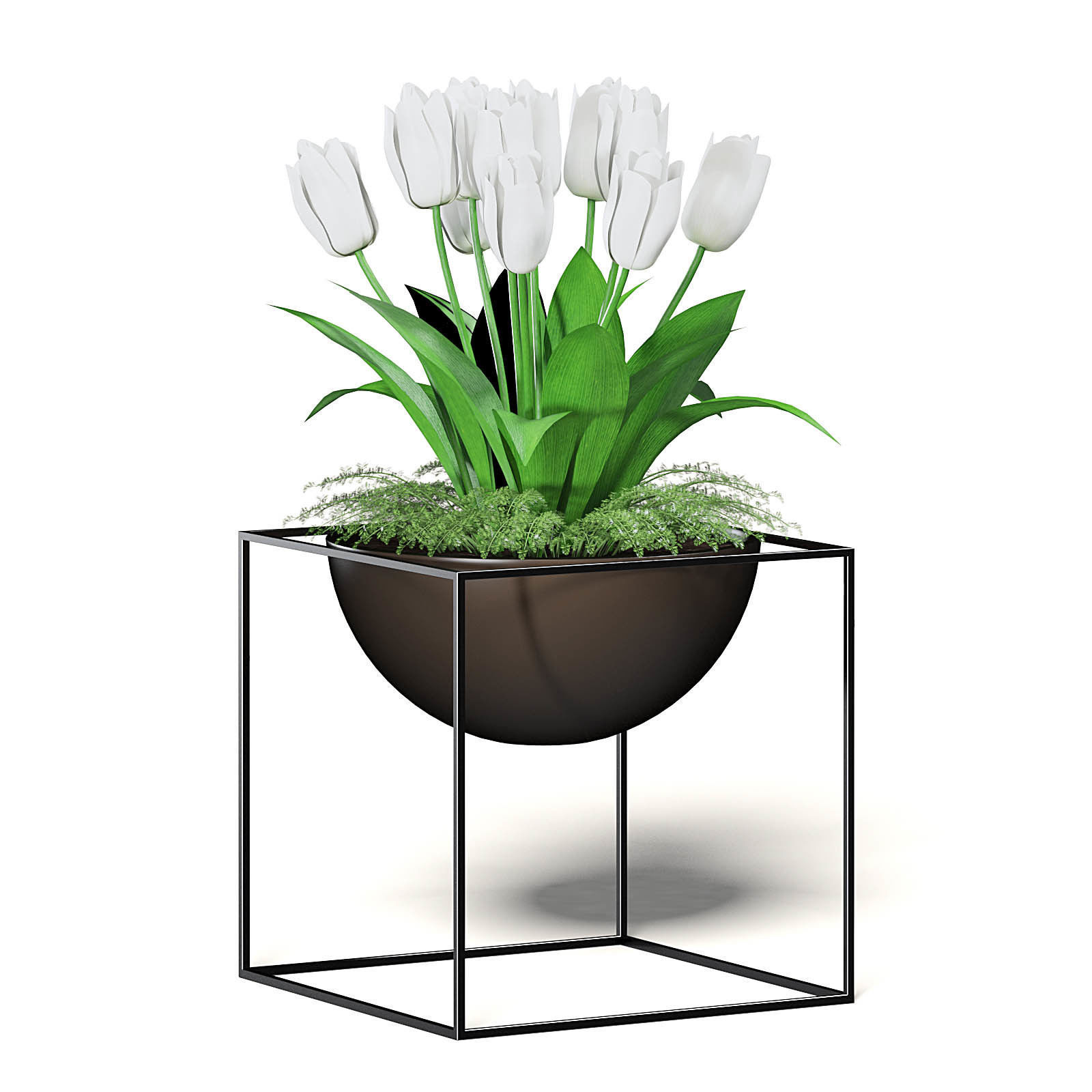 White Tulips 3D Model 3D model_7