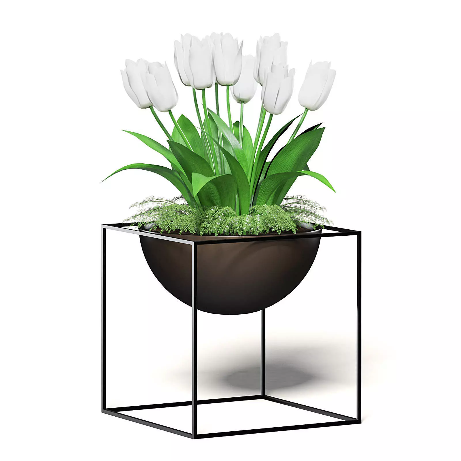 White Tulips 3D Model 3D model_0
