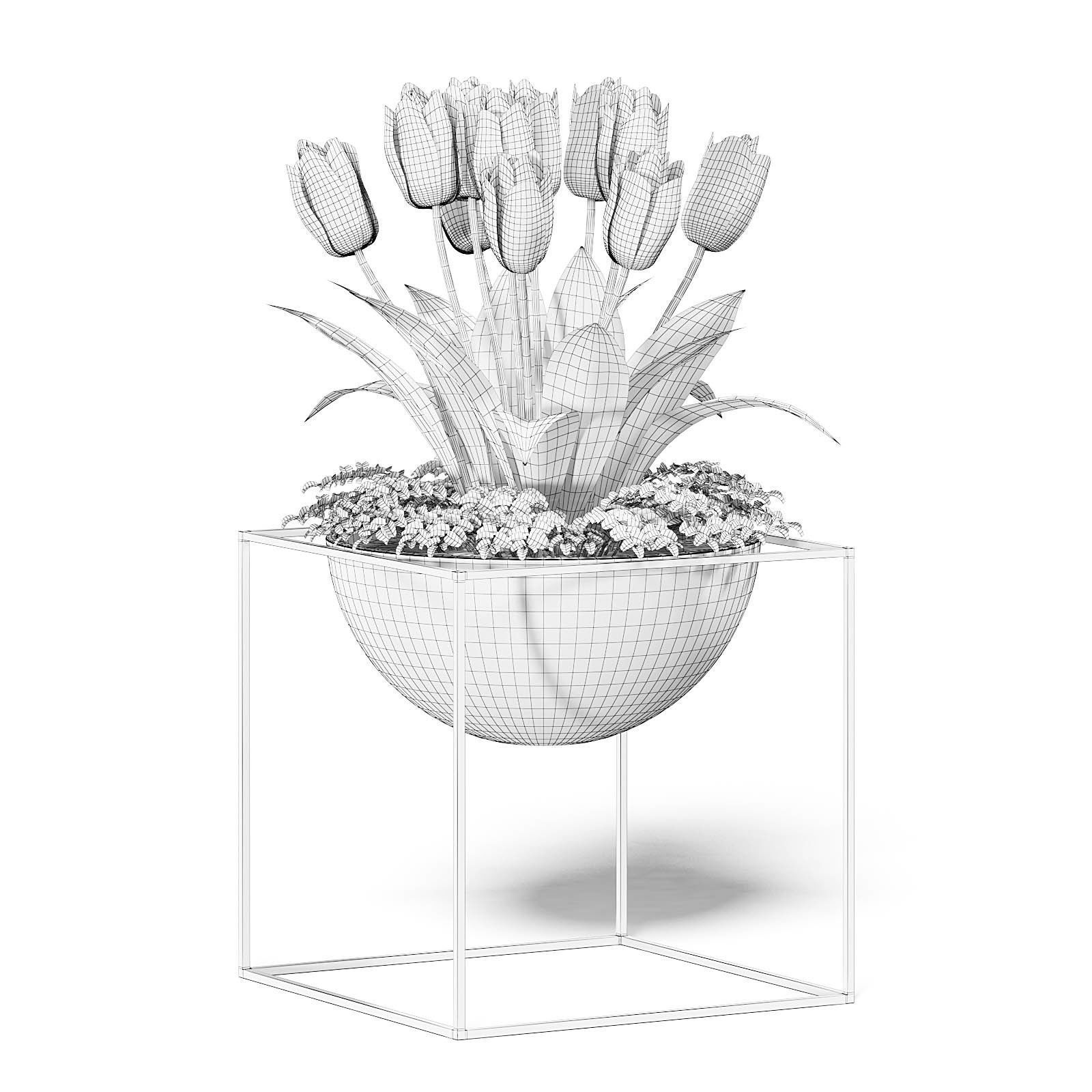 White Tulips 3D Model 3D model_6