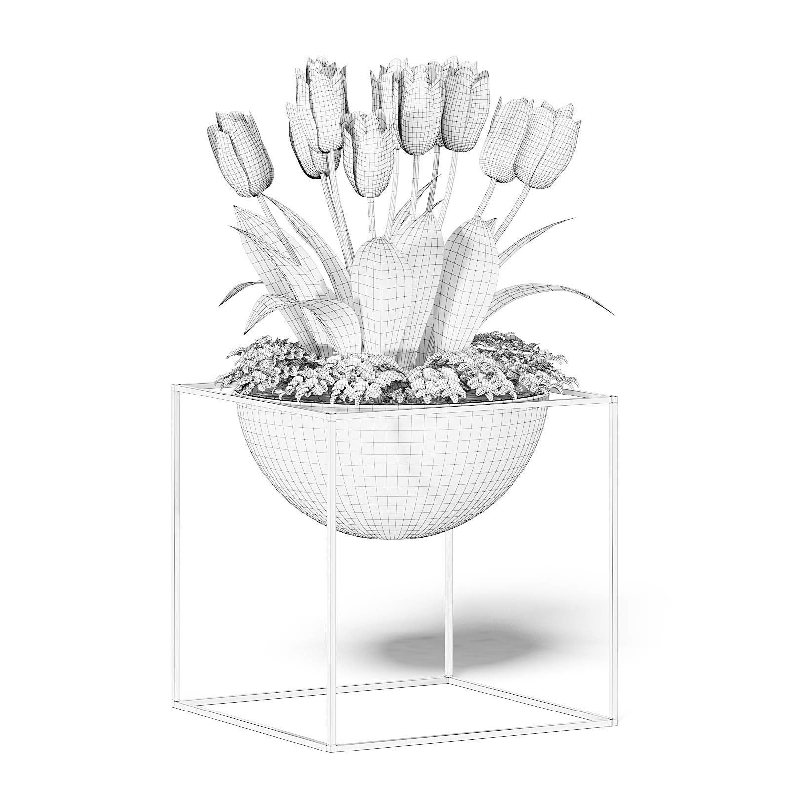 White Tulips 3D Model 3D model_4