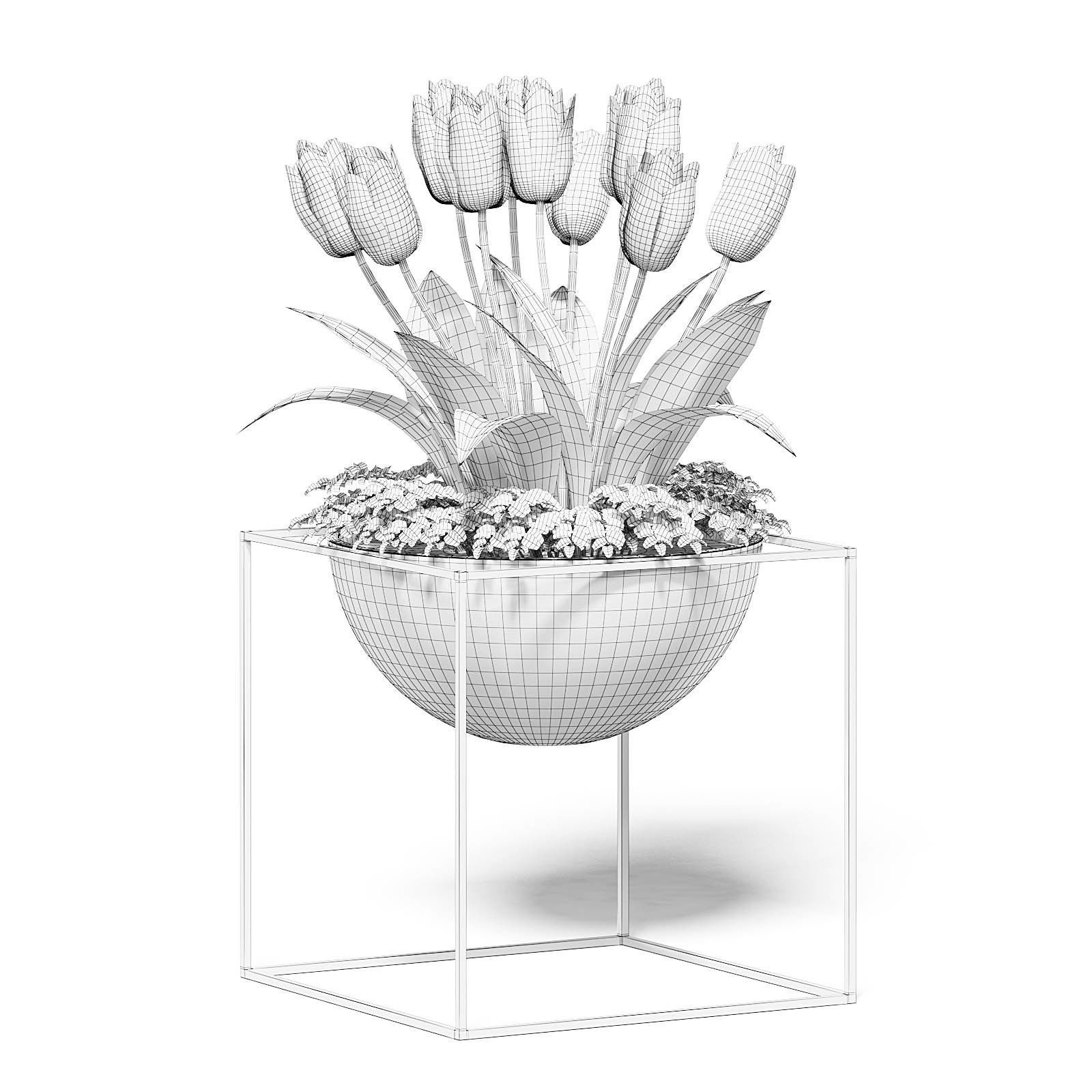 White Tulips 3D Model 3D model_1
