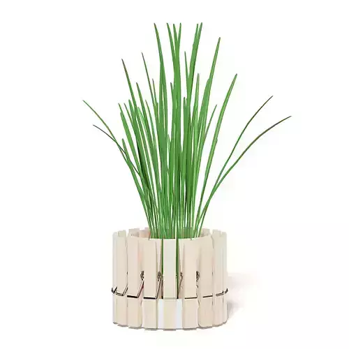Plant 3D Model with Clothes Peg Pot