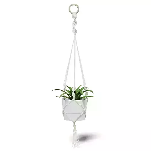 Plant in White Hanging Pot 3D Model
