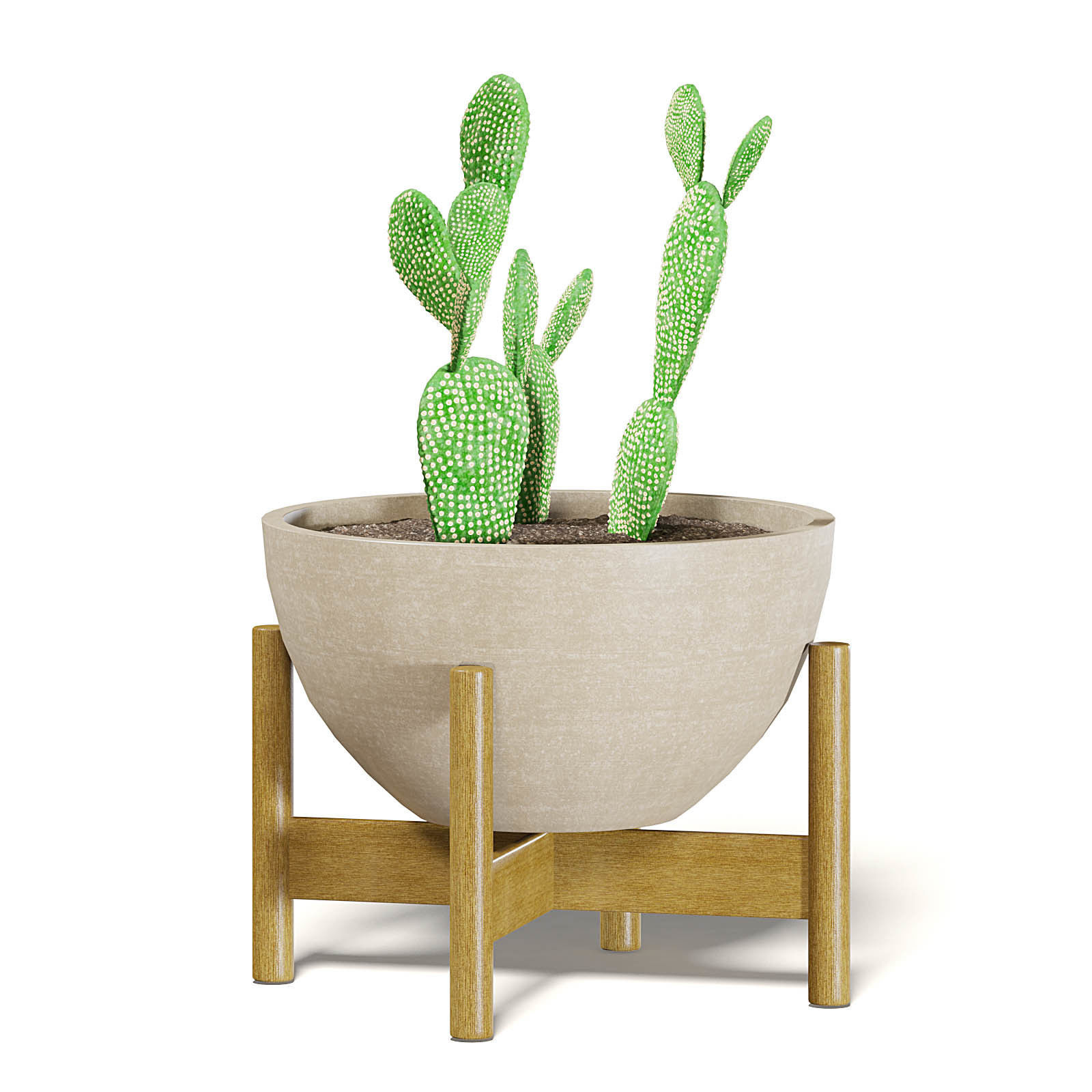 Cactus 3D Model in Brown Pot 3D model_3