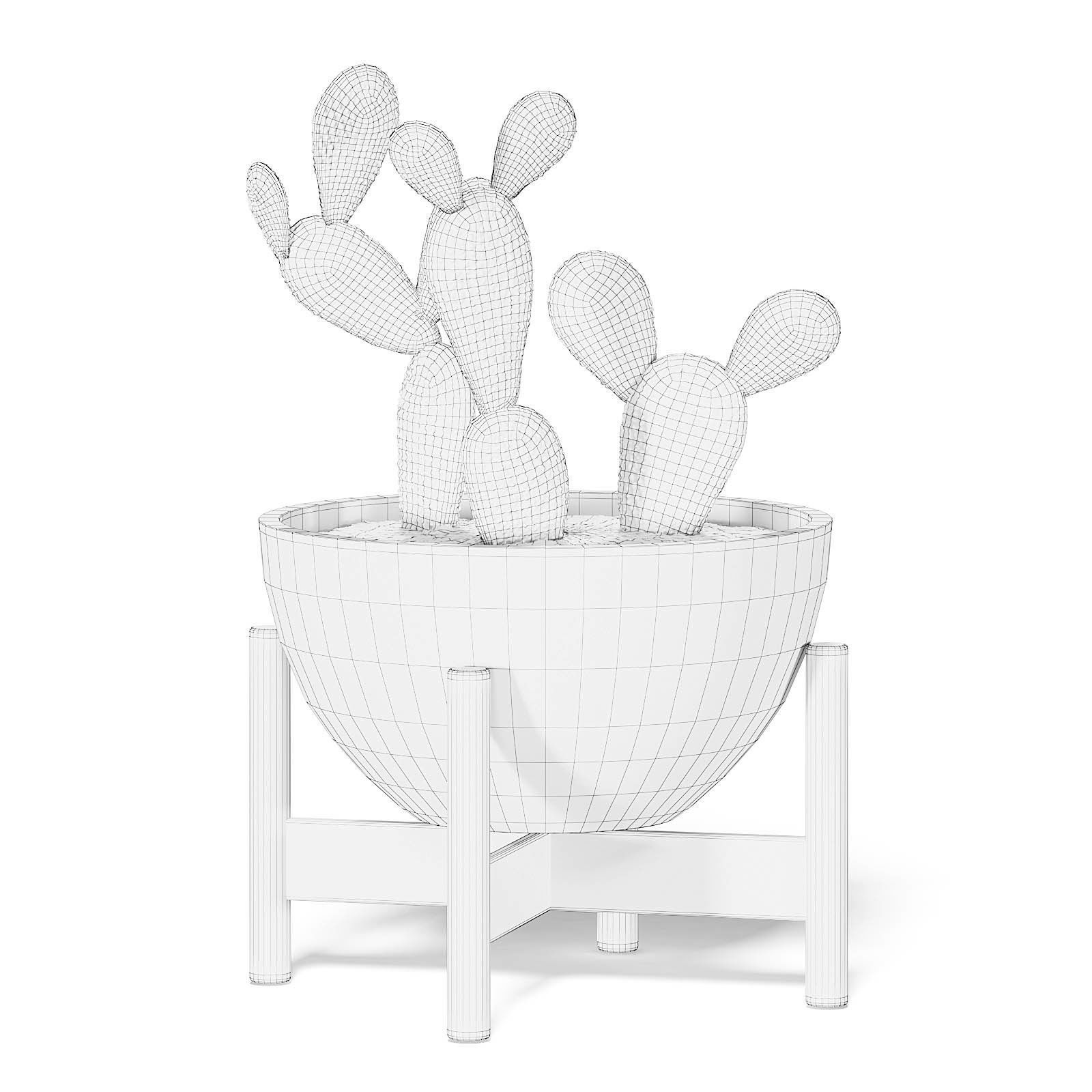 Cactus 3D Model in Brown Pot 3D model_4