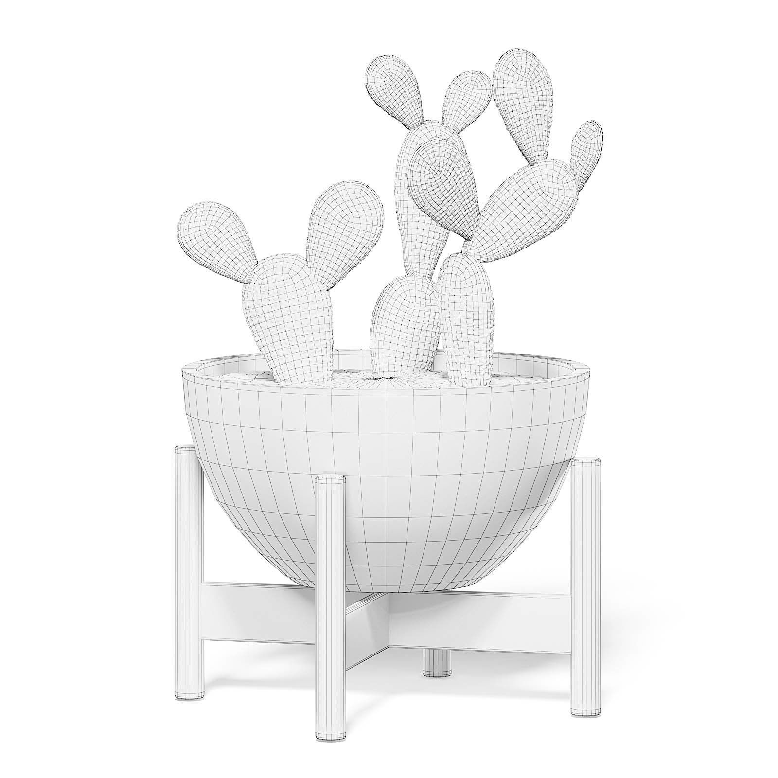 Cactus 3D Model in Brown Pot 3D model_1