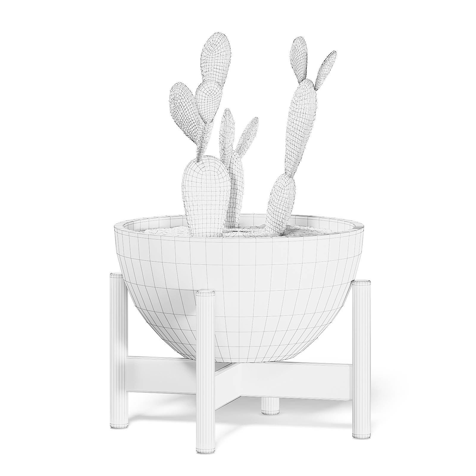 Cactus 3D Model in Brown Pot 3D model_2