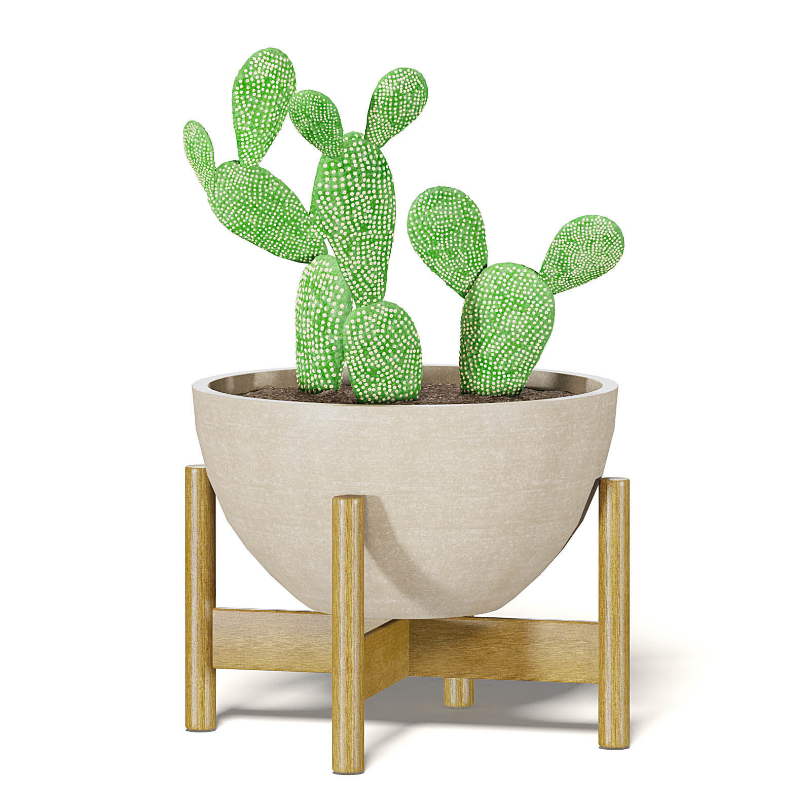 Cactus 3D Model in Brown Pot 3D model_5