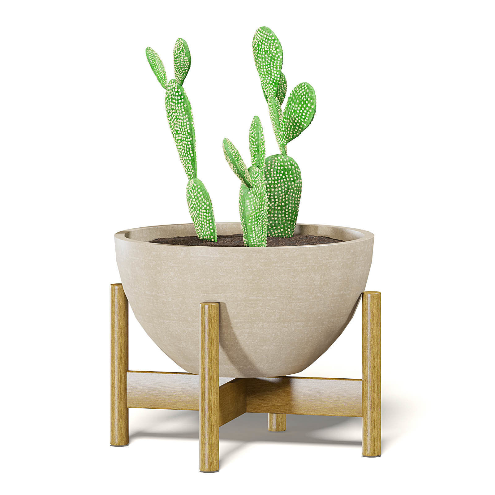 Cactus 3D Model in Brown Pot 3D model_7