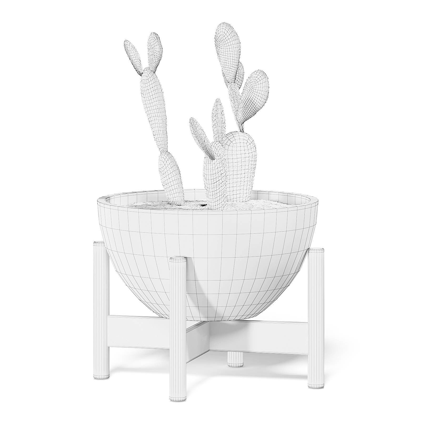 Cactus 3D Model in Brown Pot 3D model_6