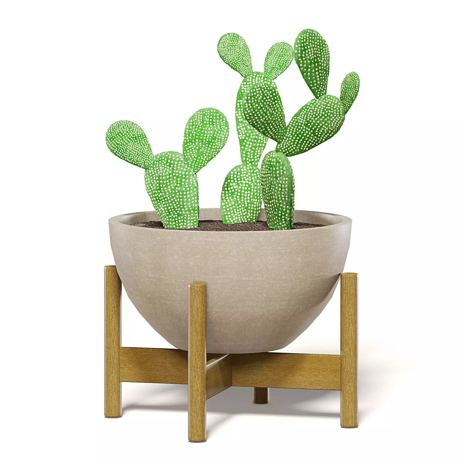 Cactus 3D Model in Brown Pot 3D model_0