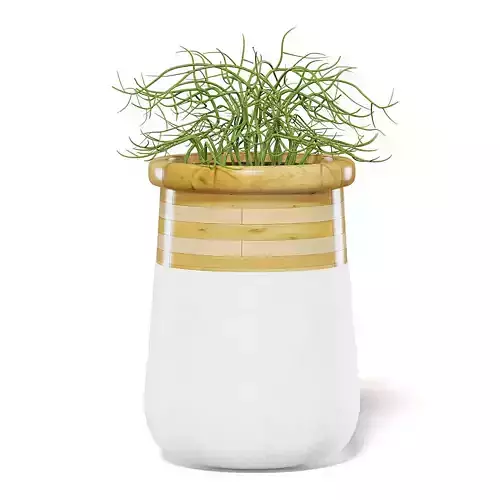 Plant 3D Model in Large Modern Pot