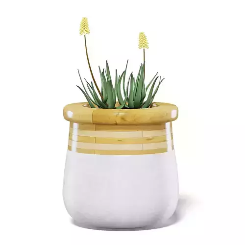 Flowers 3D Model in Large Modern Pot