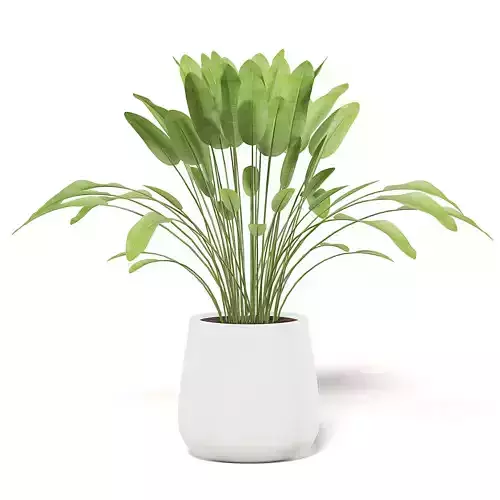 Plant 3D Model in White Pot