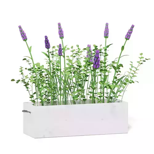 Flowers 3D Model in Wooden Box