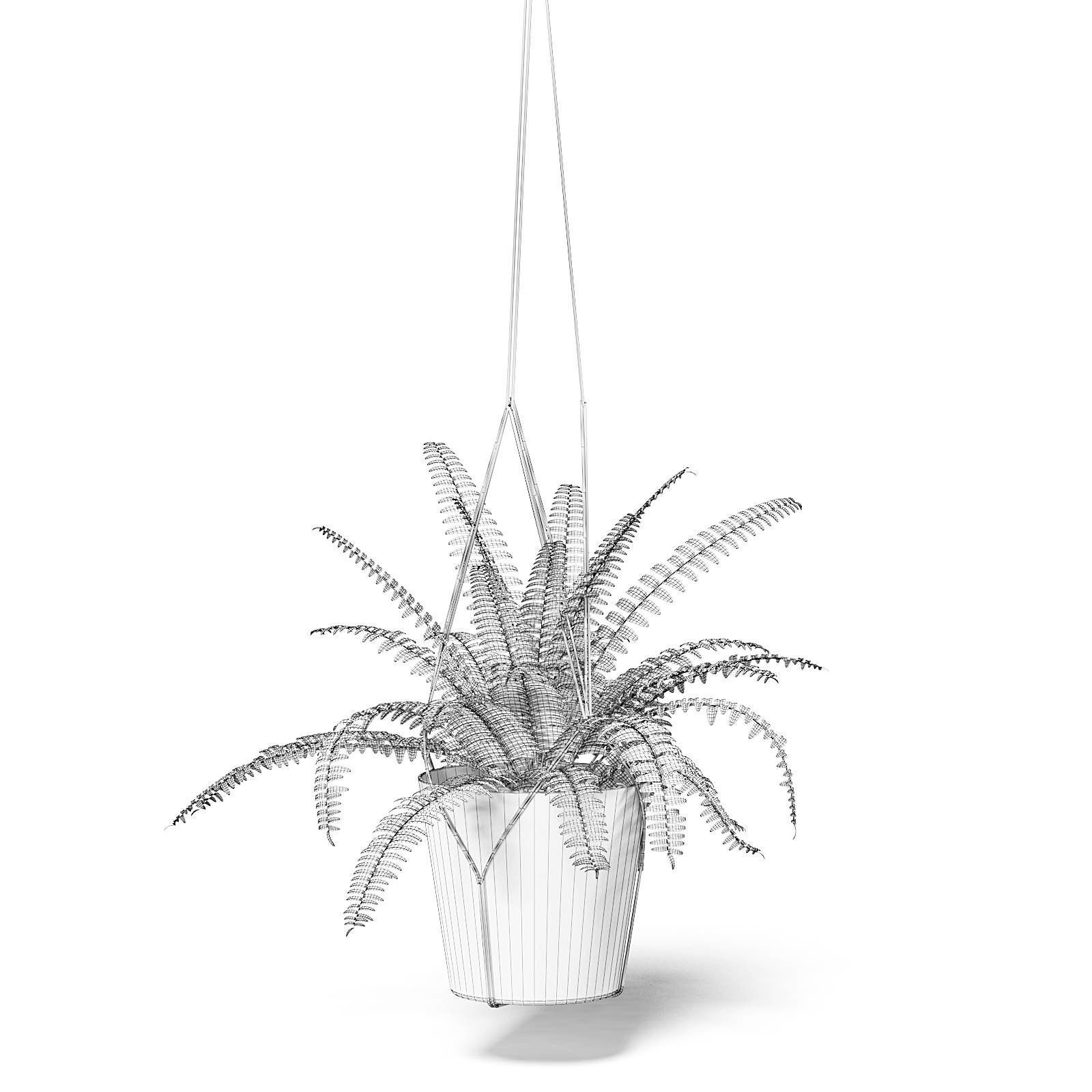 Fern 3D Model in Hanging Pot 3D model_6