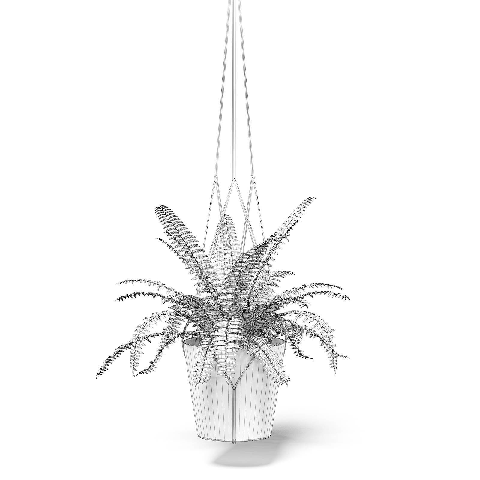 Fern 3D Model in Hanging Pot 3D model_1