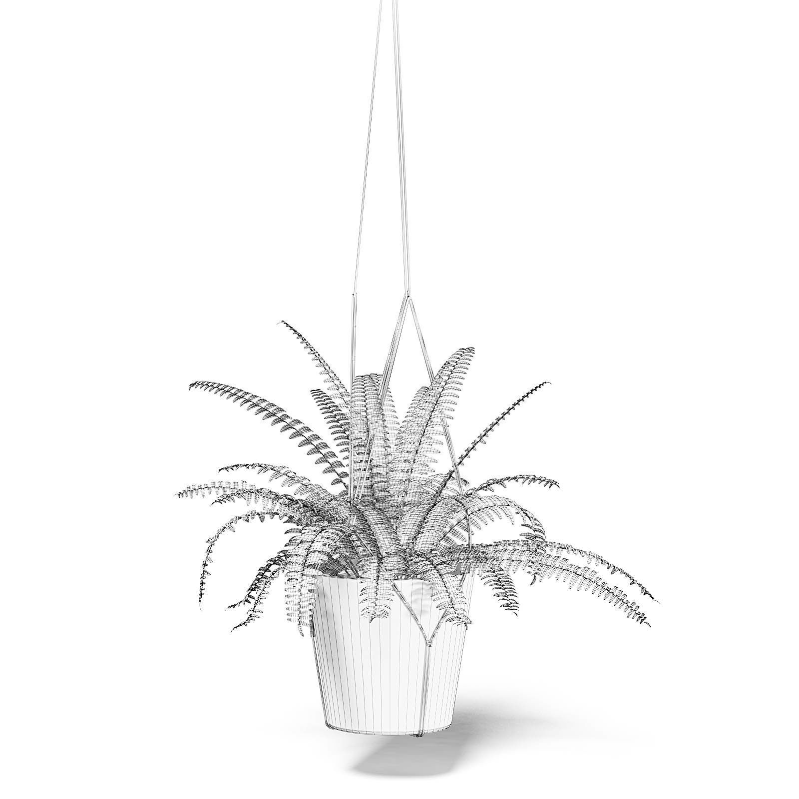 Fern 3D Model in Hanging Pot 3D model_2