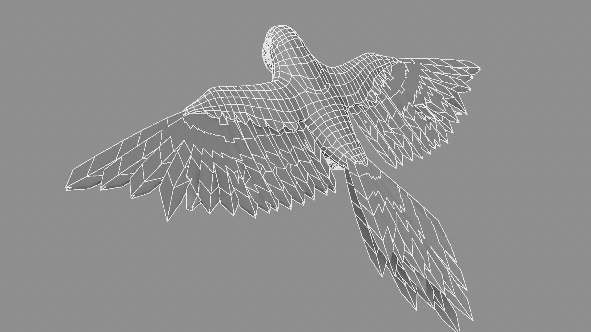 Gold Macaw 3D model_5