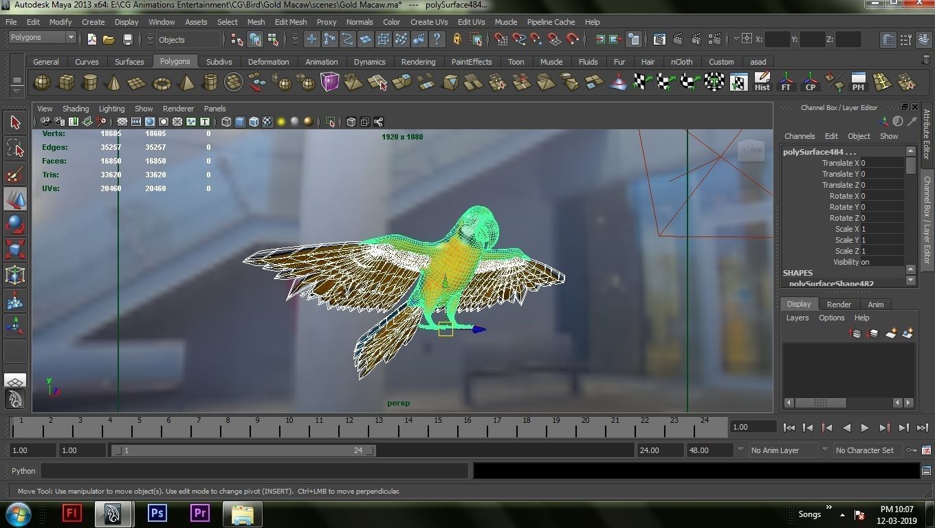 Gold Macaw 3D model_8