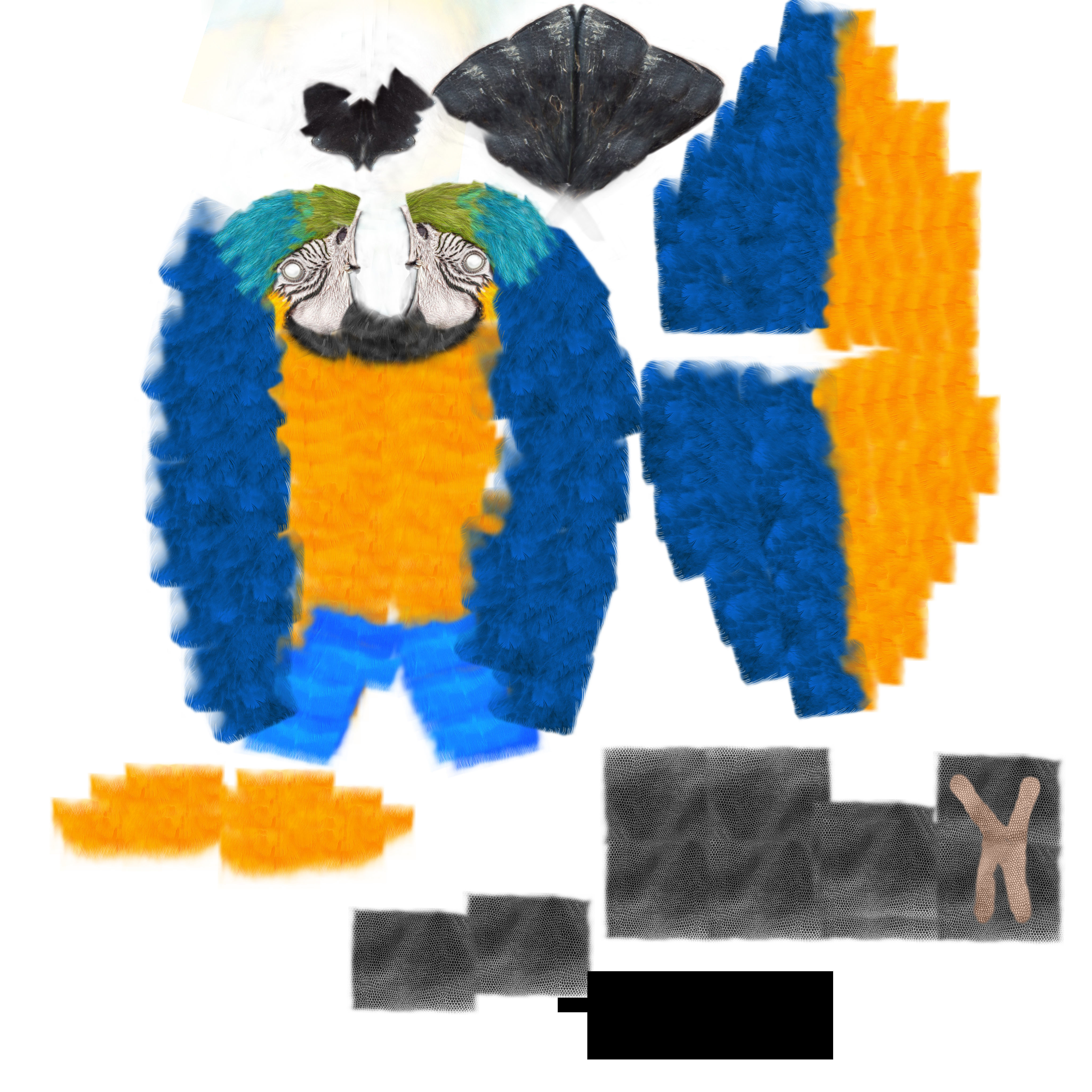 Gold Macaw 3D model_30