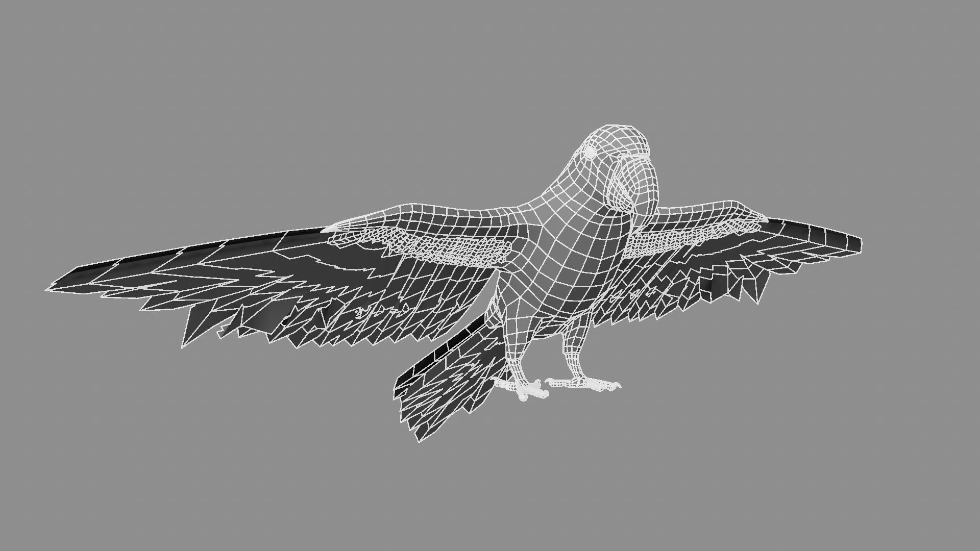 Gold Macaw 3D model_2