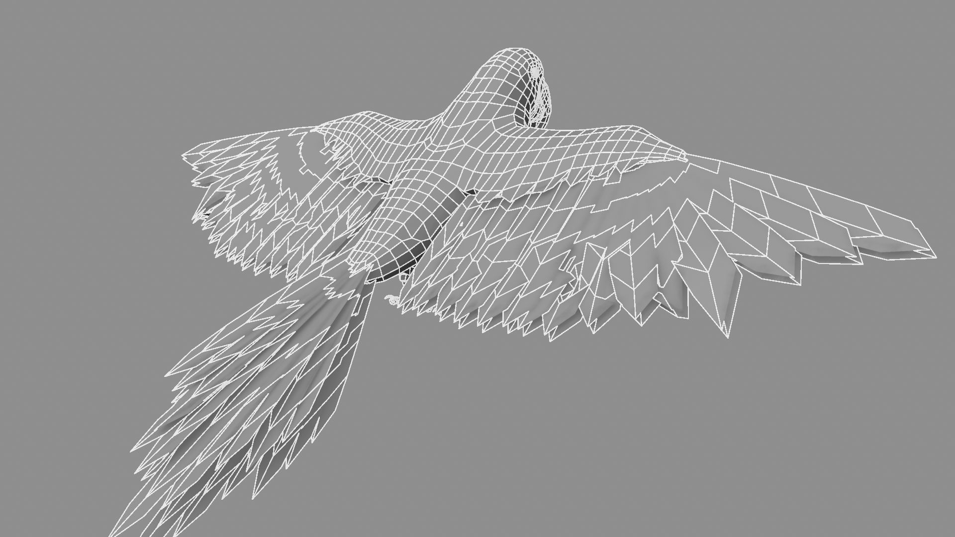 Gold Macaw 3D model_9
