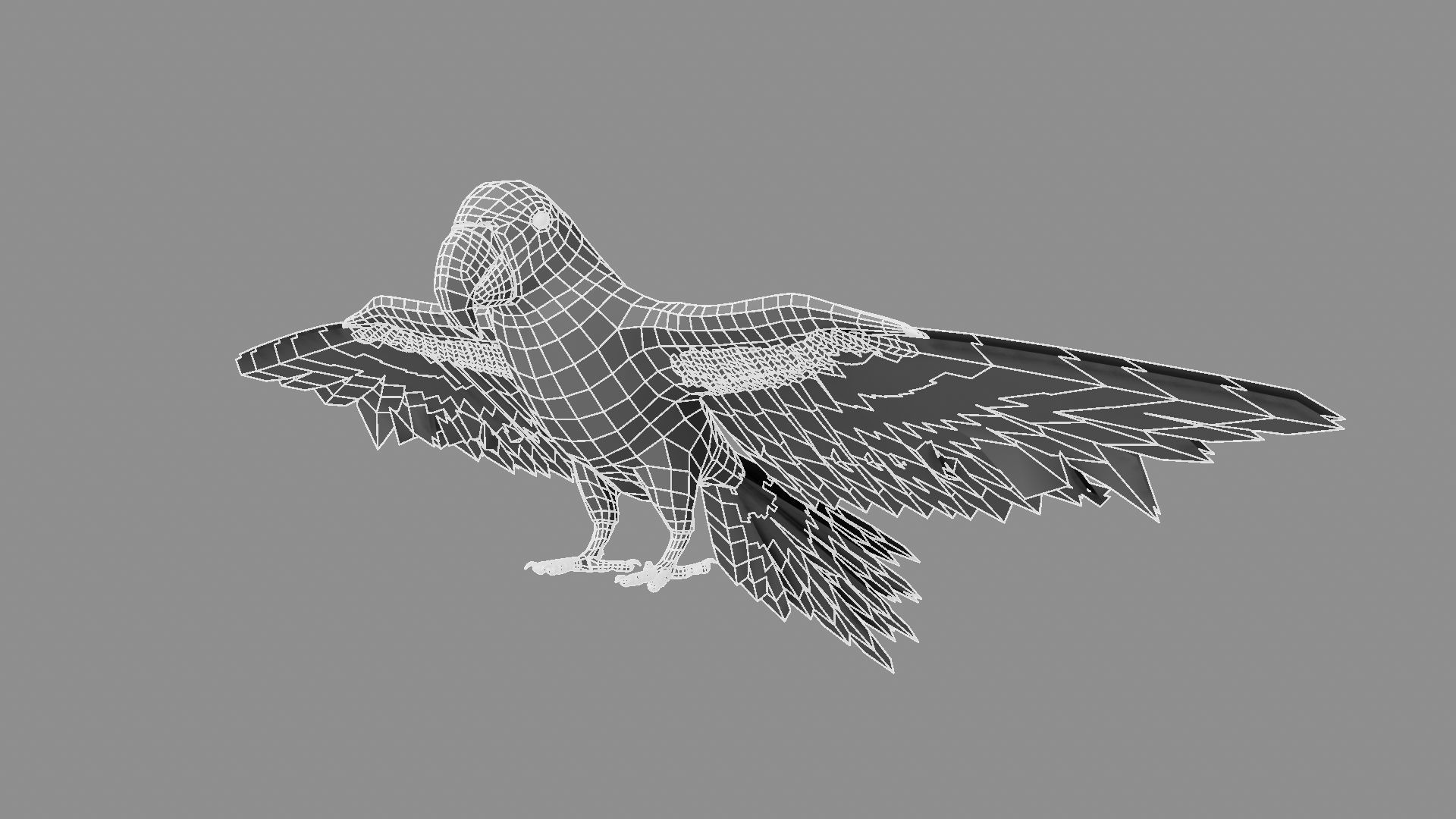 Gold Macaw 3D model_4