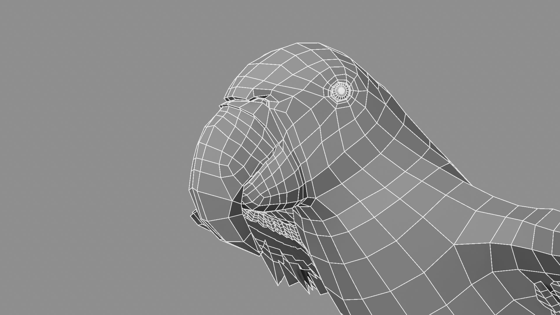 Gold Macaw 3D model_7