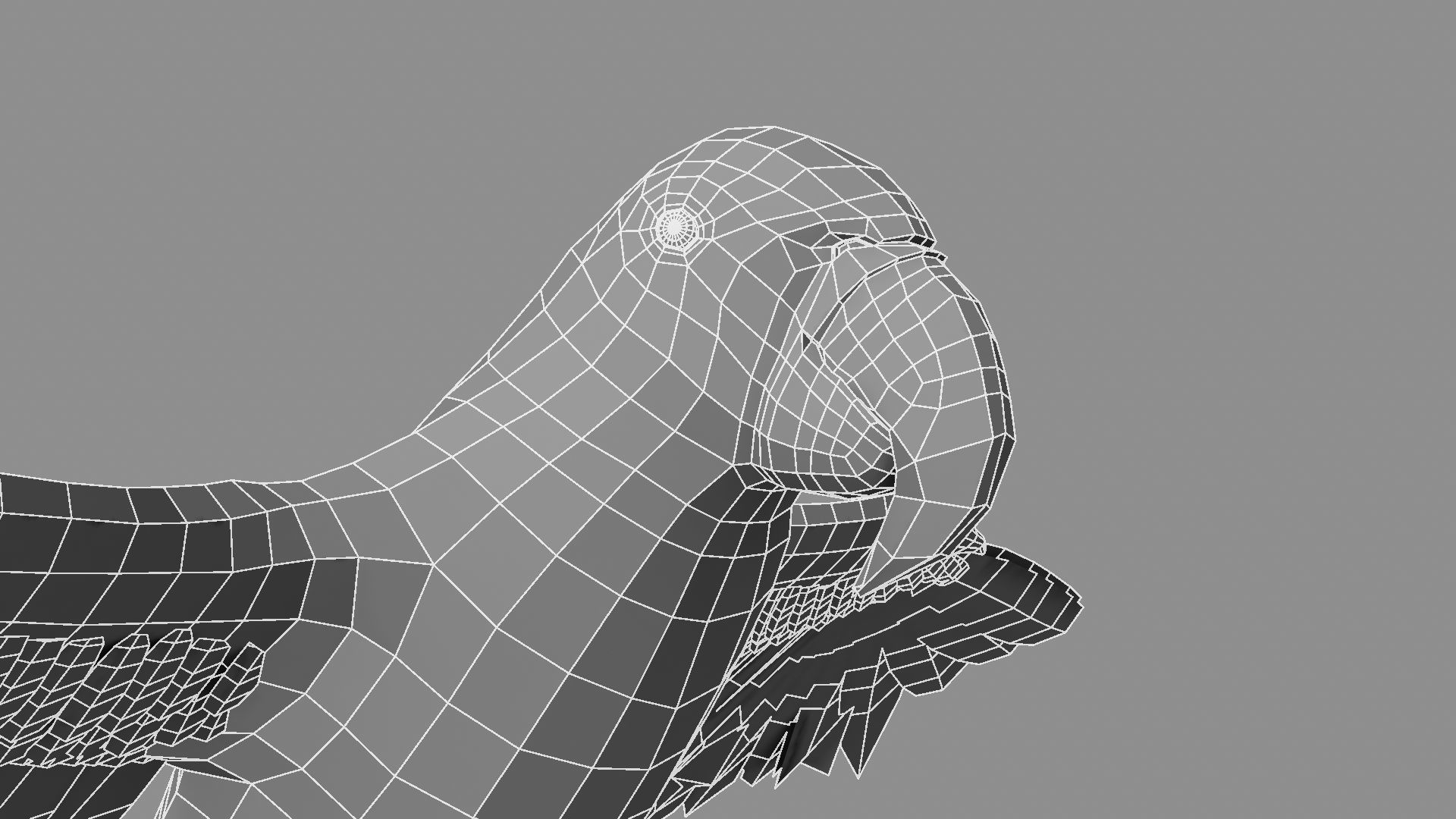 Gold Macaw 3D model_6