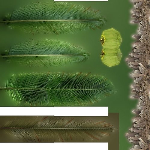 palm tree 3D model