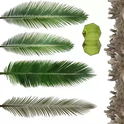 palm tree 3D model
