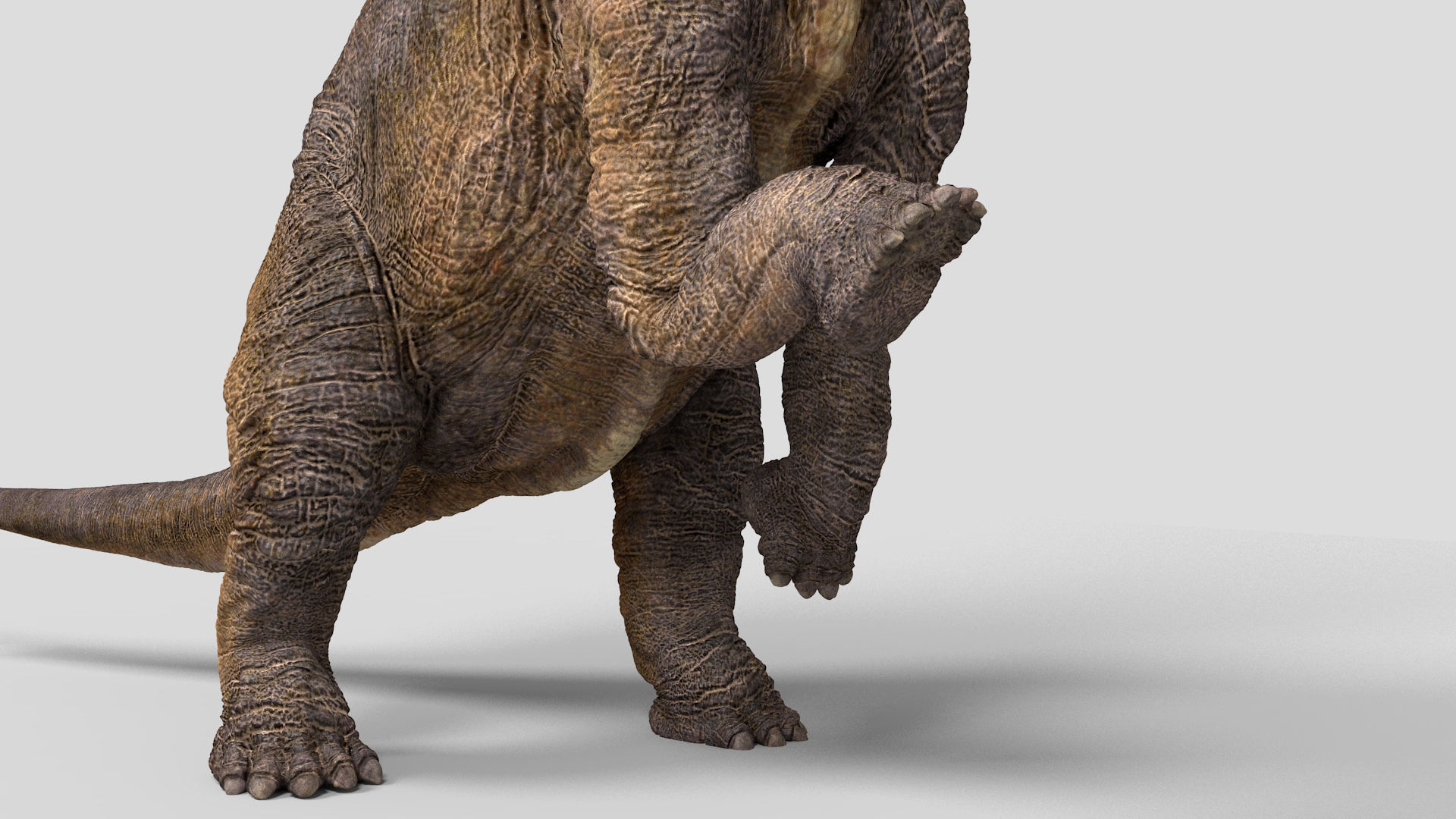 Brachiosaurus-Animated dinosaur Low-poly 3D model_13