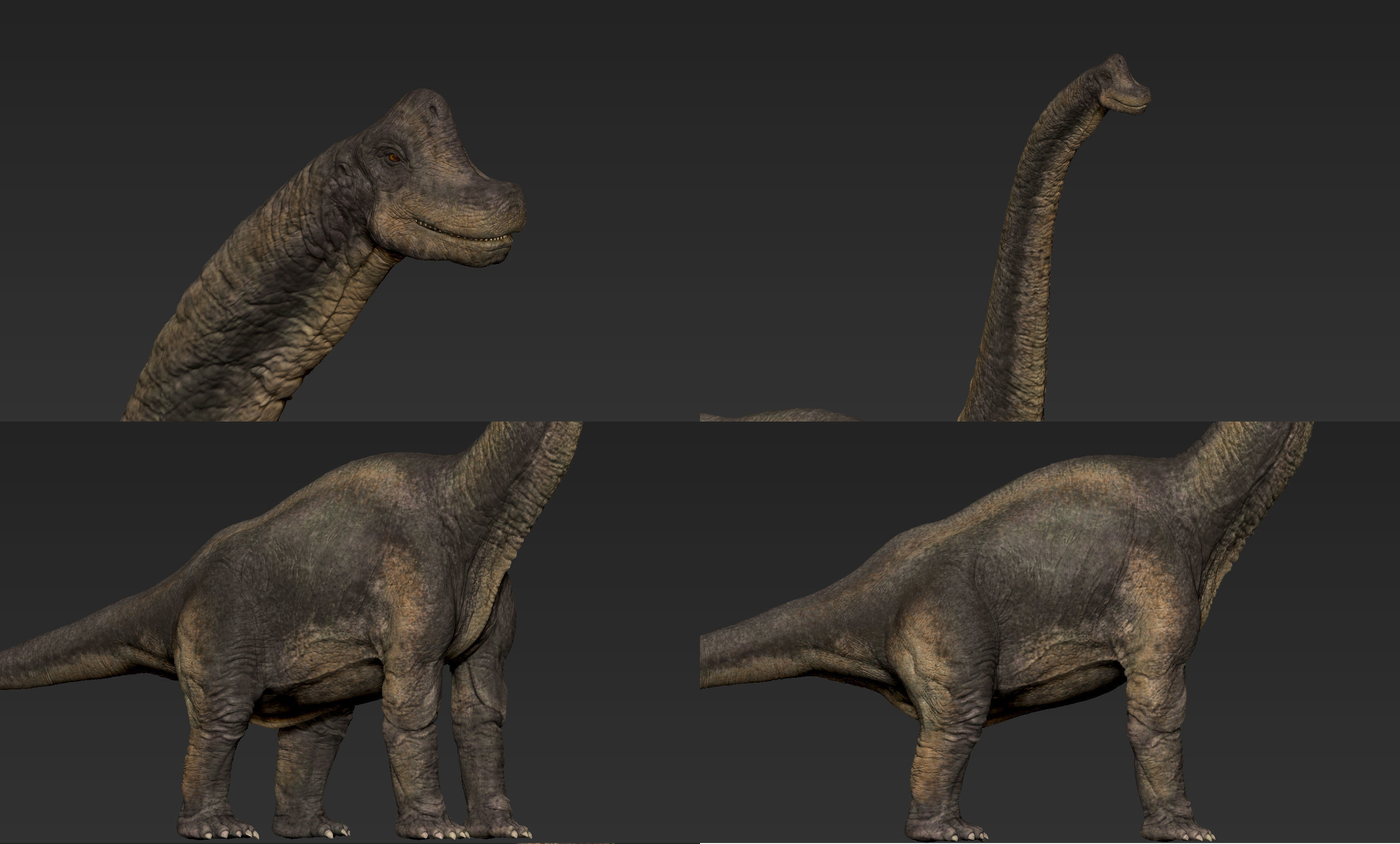 Brachiosaurus-Animated dinosaur Low-poly 3D model_11