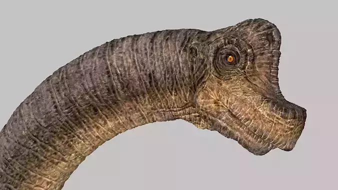Brachiosaurus-Animated dinosaur Low-poly 3D model