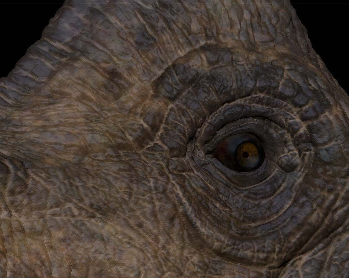 Brachiosaurus-Animated dinosaur Low-poly 3D model_5