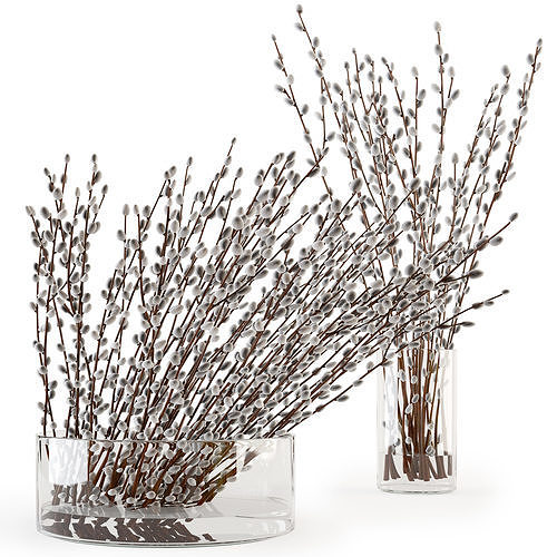 Branches in a vase 006 3D model
