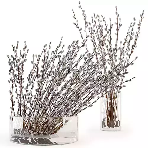 Branches in a vase 006