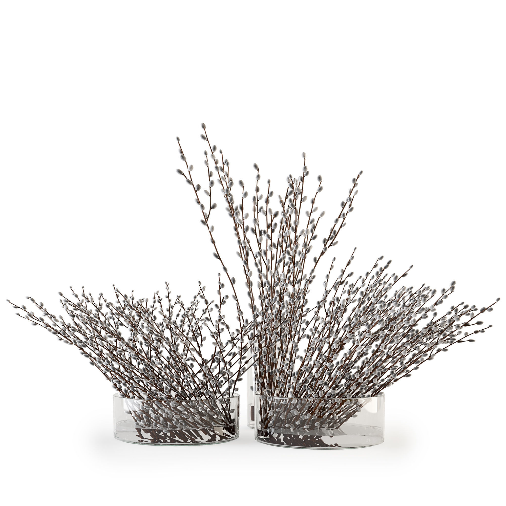 Branches in a vase 006 3D model_1